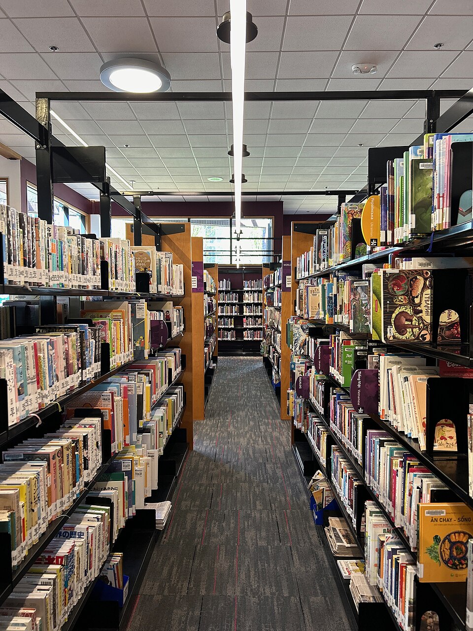 Photo : Vends DVD - Films